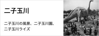 二子玉川の風景、二子玉川園、二子玉川ライズ
